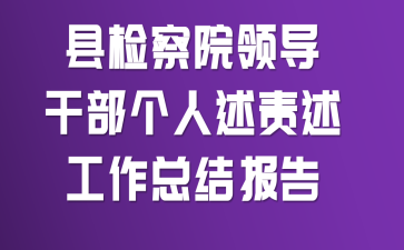 县检察院领导干部个人述责述工作总结报告