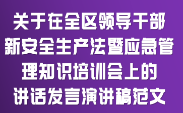 关于在全区领导干部新安全生产法暨应急管理知识培训会上的讲话发言演讲稿范文