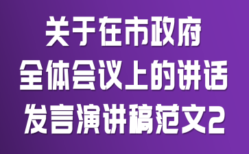 关于在市政府全体会议上的讲话发言演讲稿范文2