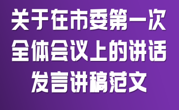关于在市委第一次全体会议上的讲话发言讲稿范文