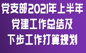 党支部2021年上半年党建工作总结及下步工作打算规划