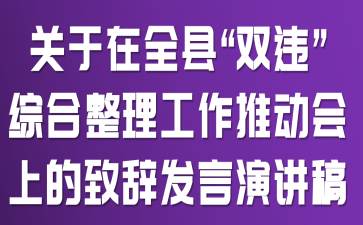 关于在全县“双违”综合整理工作推动会上的致辞发言演讲稿