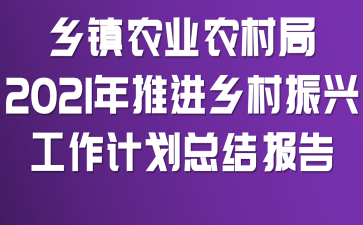 乡镇农业农村局2021年推进乡村振兴工作计划总结报告