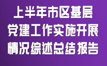上半年市区基层党建工作实施开展情况综述总结报告