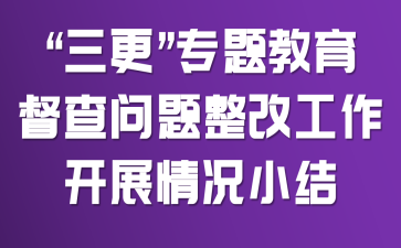 “三更”专题教育督查问题整改工作开展情况小结