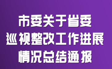 市委关于省委巡视整改工作进展情况总结通报