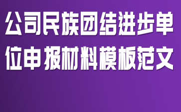 公司民族团结进步单位申报材料模板范文