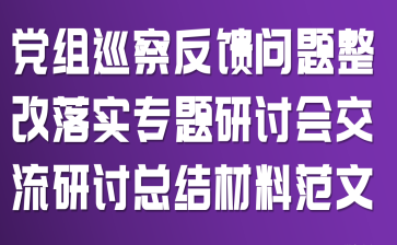 党组巡察反馈问题整改落实专题研讨会交流研讨总结材料范文