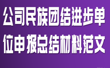 公司民族团结进步单位申报总结材料范文