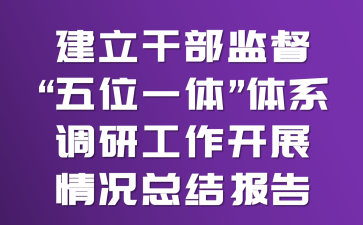 建立干部监督“五位一体”体系调研工作开展情况总结报告