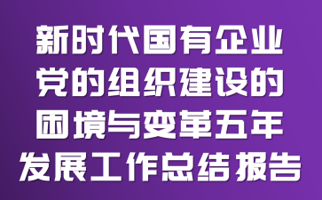 新时代国有企业党的组织建设的困境与变革五年发展工作总结报告