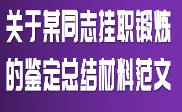 关于某同志挂职锻炼的鉴定总结材料范文