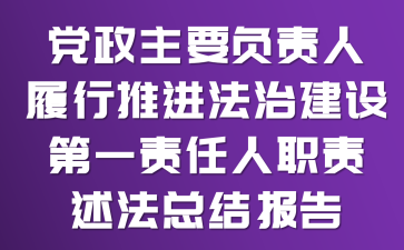 党政主要负责人履行推进法治建设第一责任人职责述法总结报告
