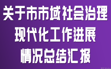 关于市市域社会治理现代化工作进展情况总结汇报
