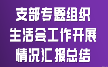 支部专题组织生活会工作开展情况汇报总结