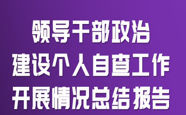 领导干部政治建设个人自查工作开展情况总结报告