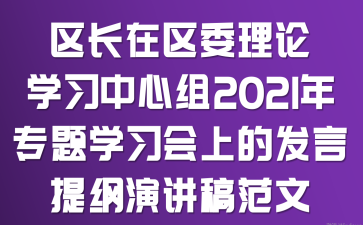 区长在区委理论学习中心组2021年专题学习会上的发言提纲演讲稿范文