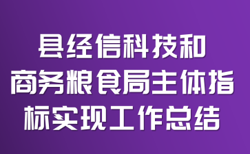 县经信科技和商务粮食局主体指标实现工作总结