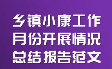 乡镇小康工作月份开展情况总结报告范文