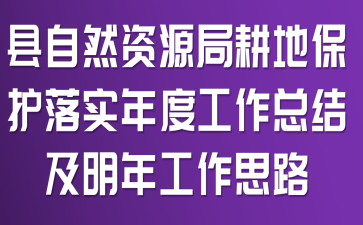 县自然资源局耕地保护落实年度工作总结及明年工作思路