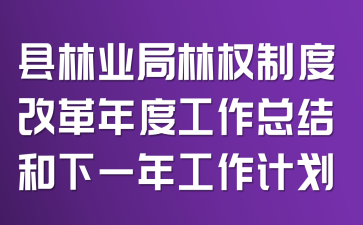 县林业局林权制度改革年度工作总结和下一年工作计划