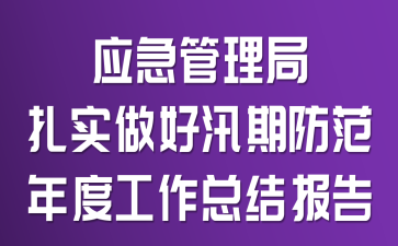 应急管理局扎实做好汛期防范年度工作总结报告