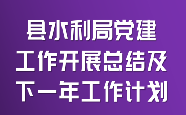 ��ˮ���ֵ���������չ�ܽἰ��һ�깤���ƻ�