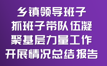 乡镇领导班子抓班子带队伍,凝聚基层力量工作开展情况总结报告