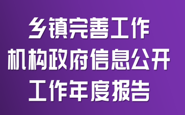 乡镇完善工作机构政府信息公开工作年度报告