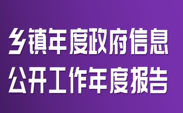 乡镇年度政府信息公开工作年度报告