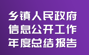 乡镇人民政府信息公开工作年度总结报告