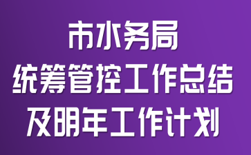 市水务局统筹管控工作总结及明年工作计划