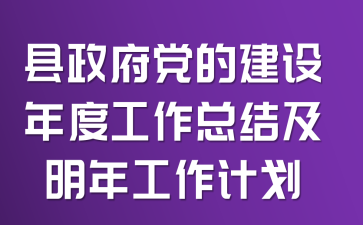 县政府党的建设年工作总结及明年工作计划