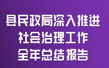县民政局深入推进社会治理工作全年总结报告