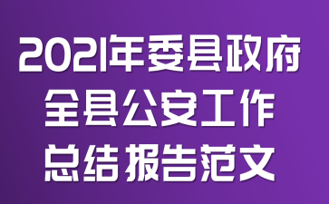 2021年委县政府全县公安工作总结报告范文