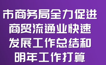 市商务局全力促进商贸流通业快速发展工作总结和明年工作打算