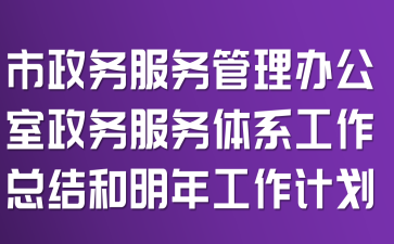 市政务服务管理办公室政务服务体系工作总结和明年工作计划