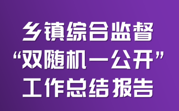 乡镇综合监督“双随机一公开”工作总结报告