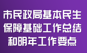 市民政局基本民生保障基础工作总结和明年工作要点