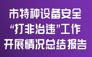 �������豸��ȫ�������Υ��������չ����ܽᱨ��