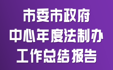 市委市政府中心年度法制办工作总结报告