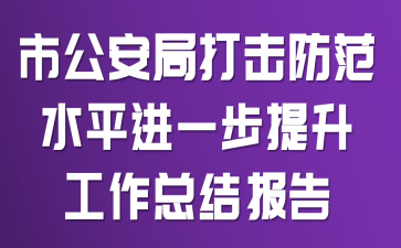 市公安局打击防范水平进一步提升工作总结报告