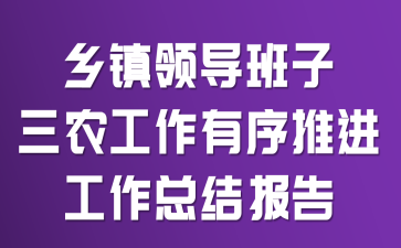 �����쵼������ũ���������ƽ������ܽᱨ��