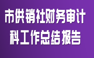 市供销社财务审计科工作总结报告