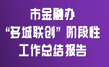 市金融办 “多城联创” 阶段性工作总结报告