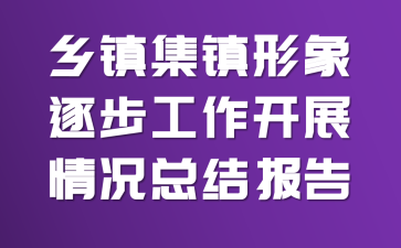 乡镇集镇形象逐步工作开展情况总结报告