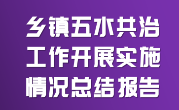 乡镇五水共治工作开展实施情况总结报告