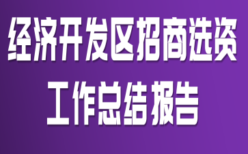 经济开发区招商选资工作总结报告