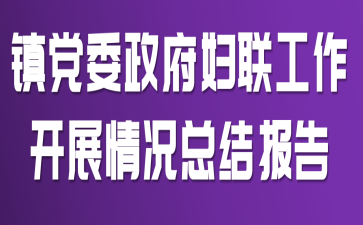 镇党委政府妇联工作开展情况总结报告