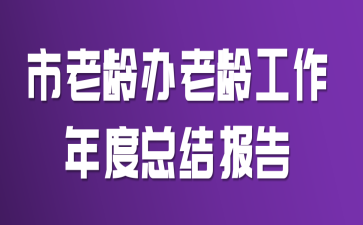 市老龄办老龄工作年度总结报告